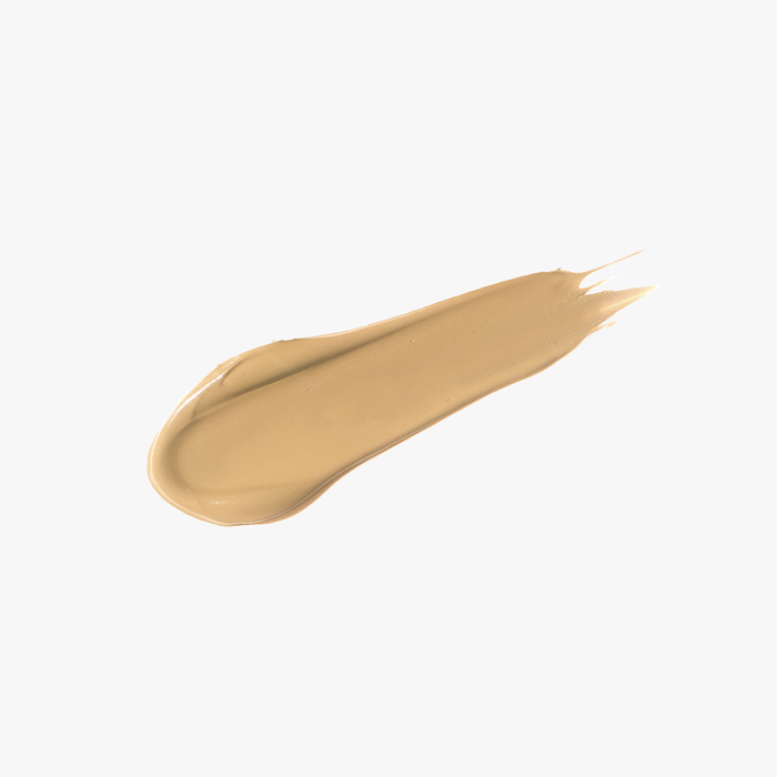 [DEAR DAHLIA] Skin Paradise Flawless Fit Expert Concealer 6,5 g (10 Farbtöne)