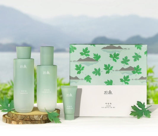 HANYUL Pure Artemisia Beruhigendes Ausgleichsset